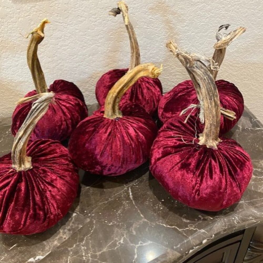 Velvet Pumpkins